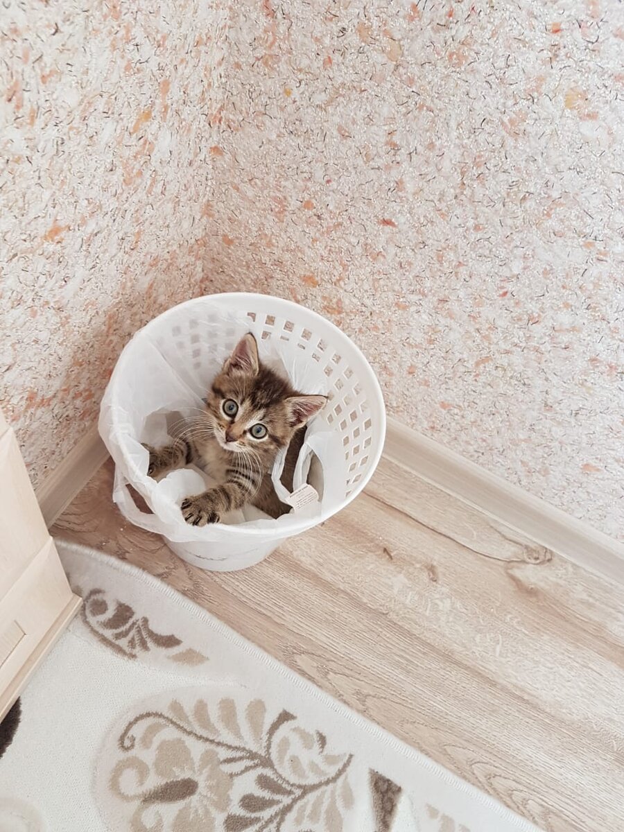 Фото автора.