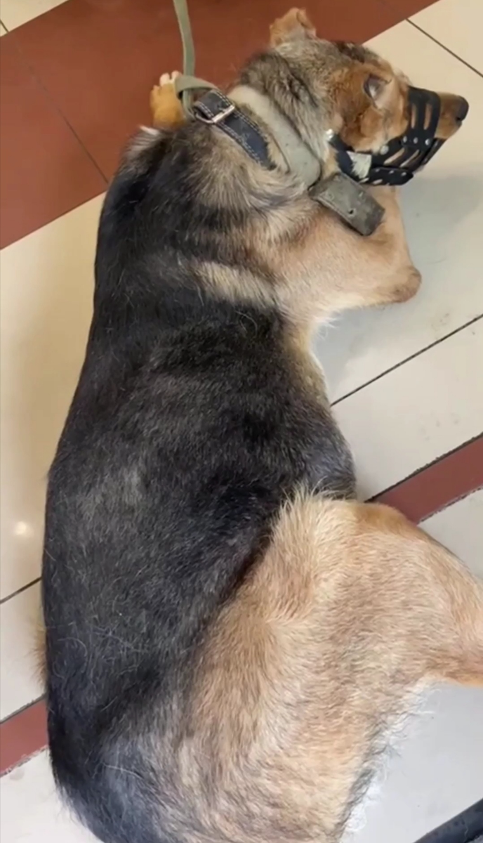 Дима в клинике