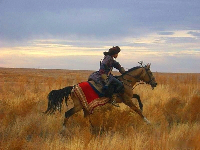 Кон даль. Монгольский художник Талгат Тлеужанов. Степной всадник. Всадник в степи. Кочевники в степи.