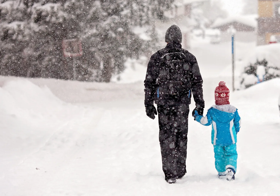 Фото взято из открытого источника интернет 