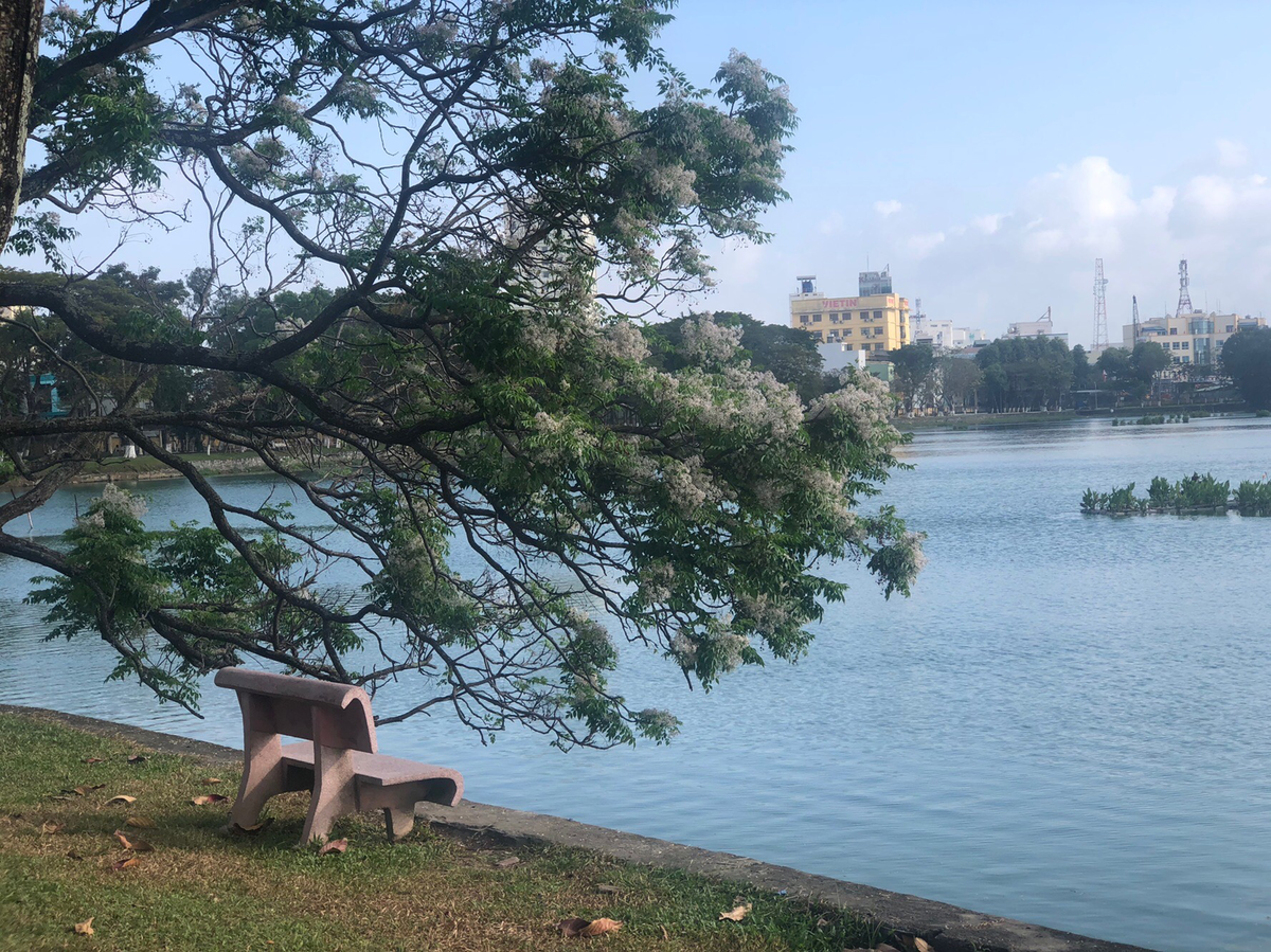 Парк города.