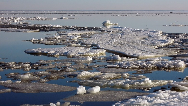 Фото: pixabay.com