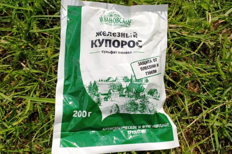Чем опрыскать крыжовник весной от мучнистой росы | Виктория Радзевская ...
