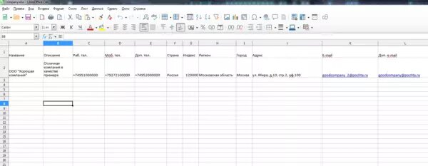 Пример заполненной экселевской таблицы с сущностями