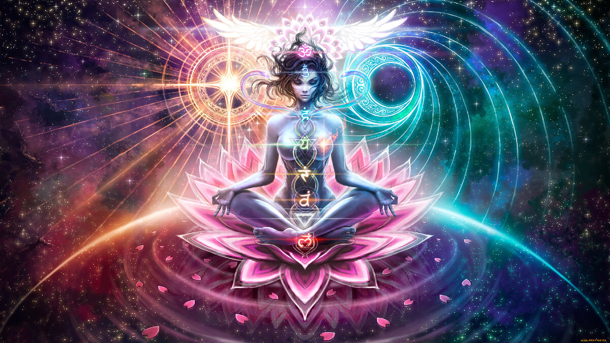 Фото из открытых источников.