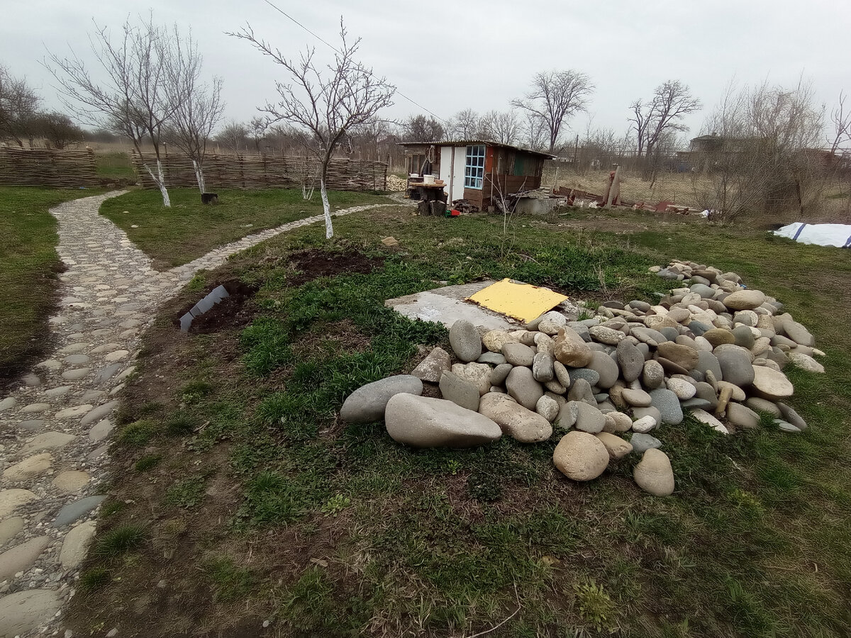Это фото немного с другого ракурса, спустя чуть больше года