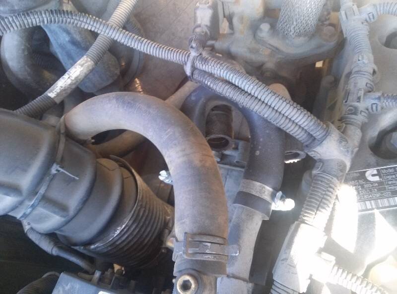 Шланг одет на тосольные трубки (можно просто заглушить, теперь тосол не попадает в ЕГР.