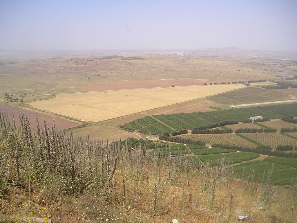 Вид с Голландских высот на земли Израиля