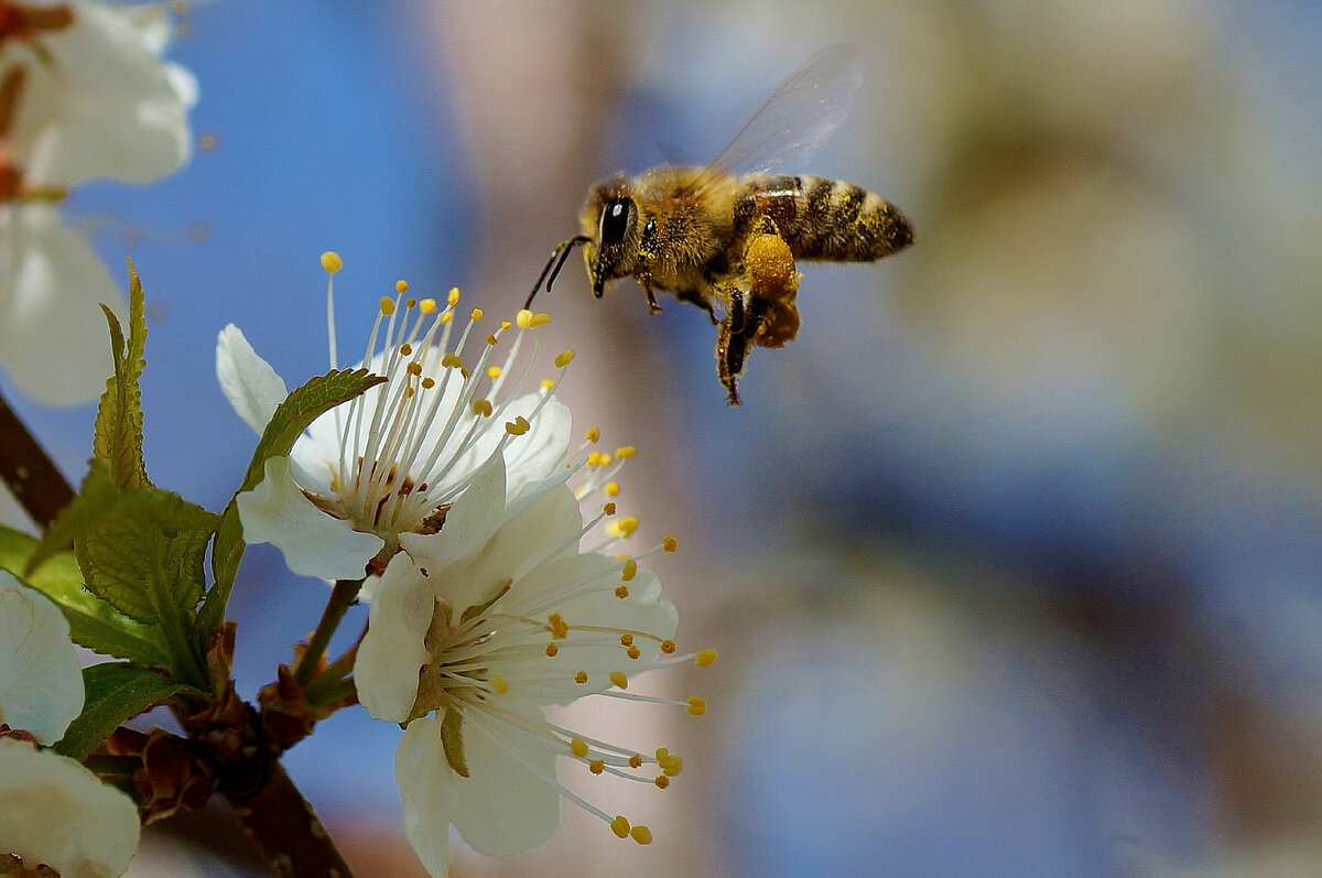 Фото автора.