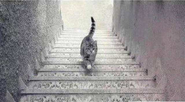 Тест по картинке