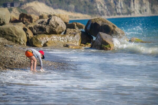    Сочи. Фото: pixabay.com