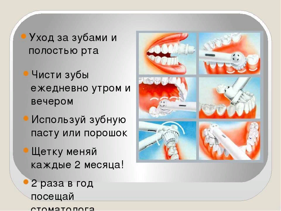 Работа рта 1. Гигиена зубов и ротовой полости. Правильная гигиена зубов. Правила ухода за полостью рта. Правила чистки зубов.
