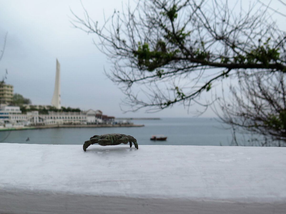 Севастополь. Фотографии авторские. Бронзовые крабики из Рима.