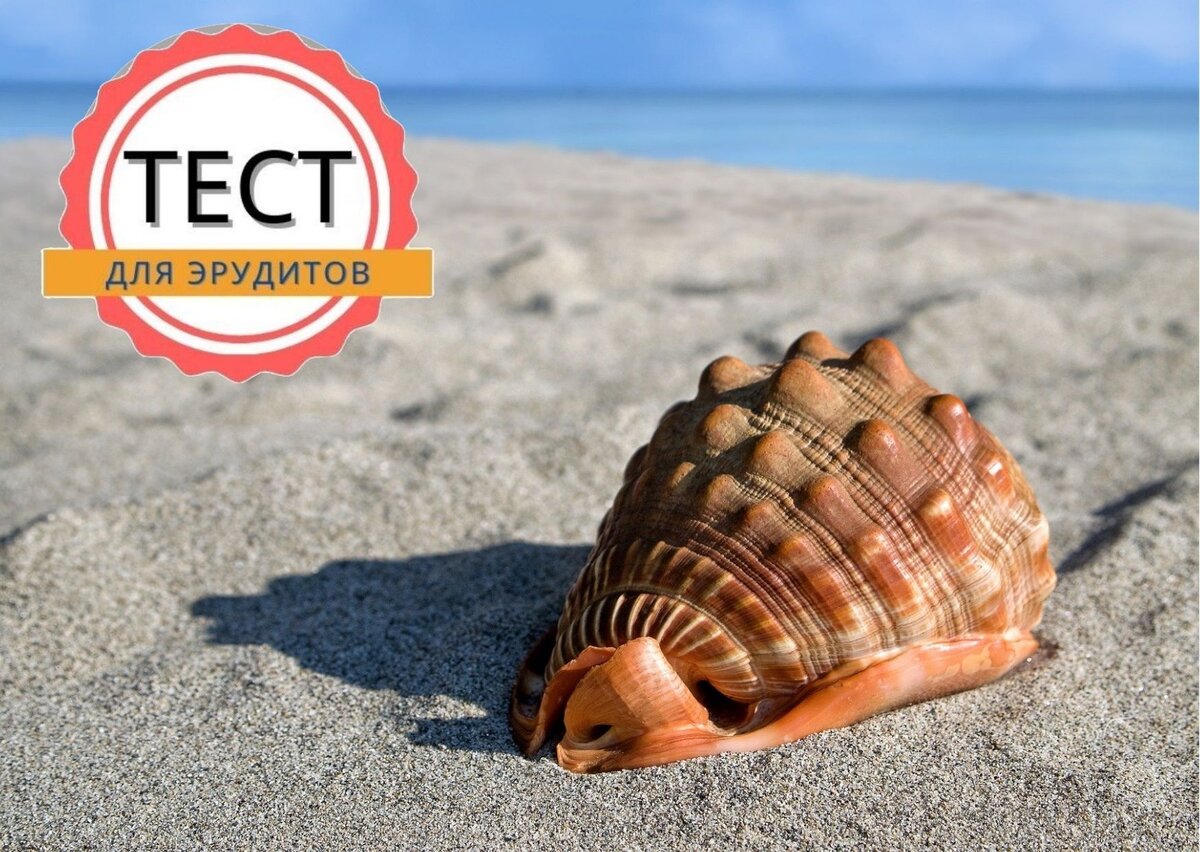 Источник изображения: pixabay.com, дизайн автора публикации