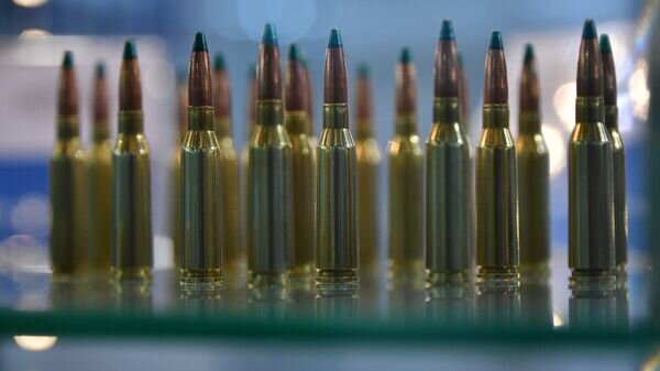   © Sputnik / Виктор Толочко