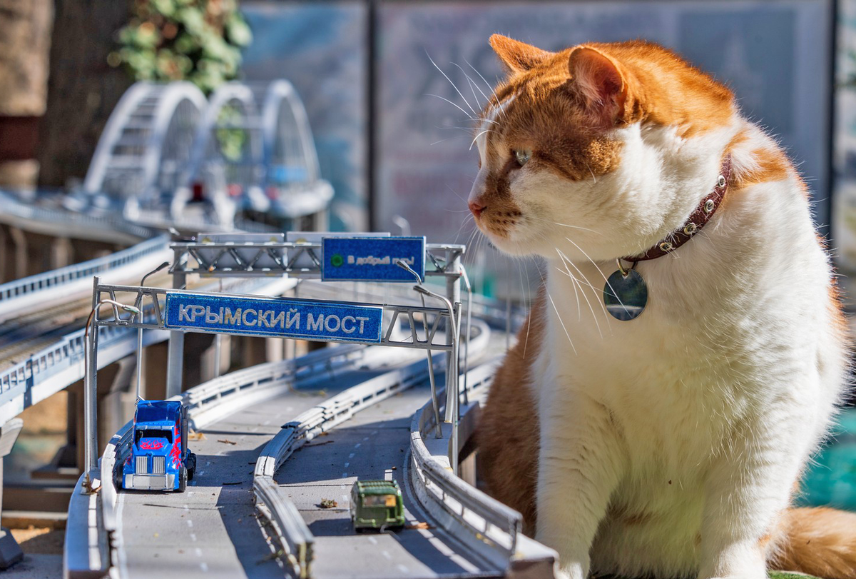Крымский мост без кота, как кот без усов! Надеюсь, мою уменьшенную копию тоже сделают. 
