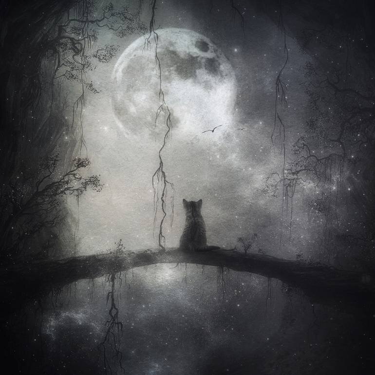 Из открытых источников