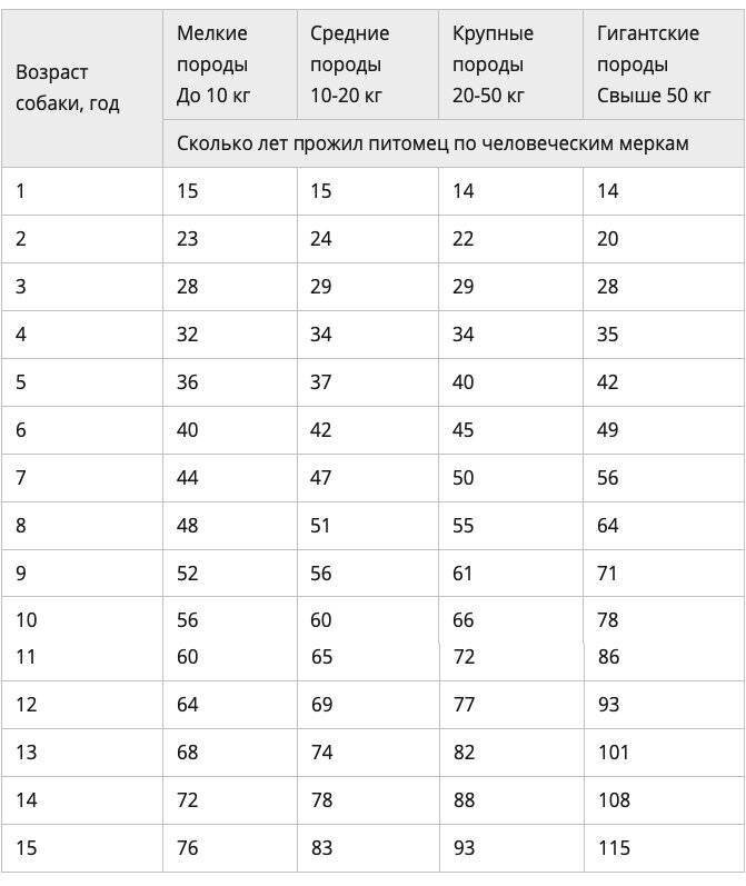 Собаке 11 лет сколько по человеческим меркам таблица фото на русском языке