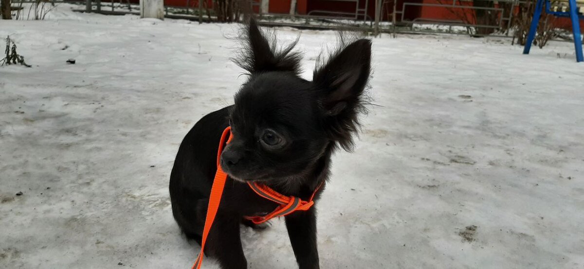 Всё вокруг незнакомое и но жутко интересное.