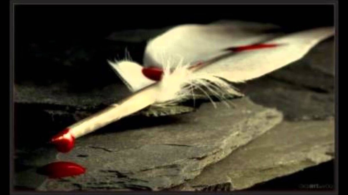 картинка из сети 