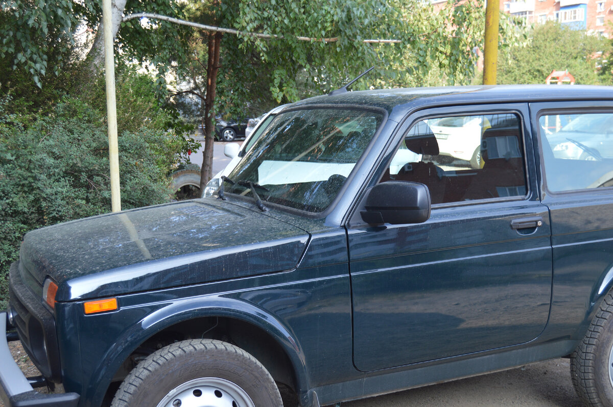 Фото автора 15.08.2023. Капот и стекло полировать нужно, уже неделю нет дождя.         