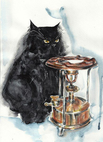 Фото интернет