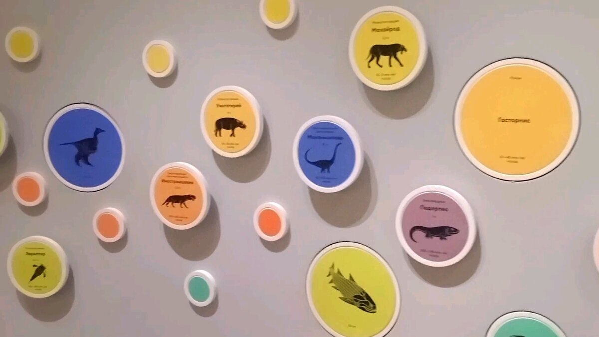 Развитие жизни на земле 