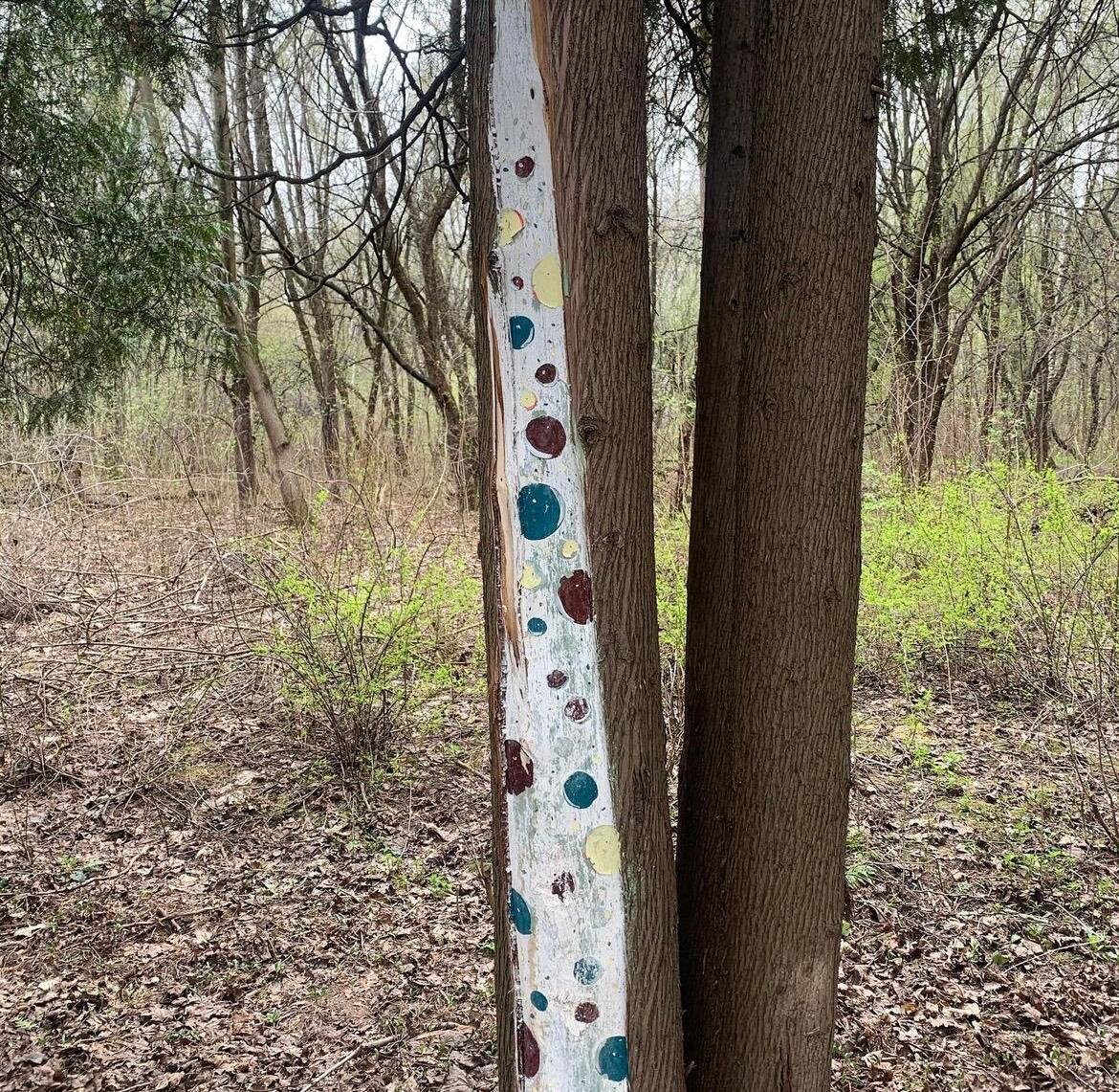 Бирюлевский дендропарк © "Покажу Москву"