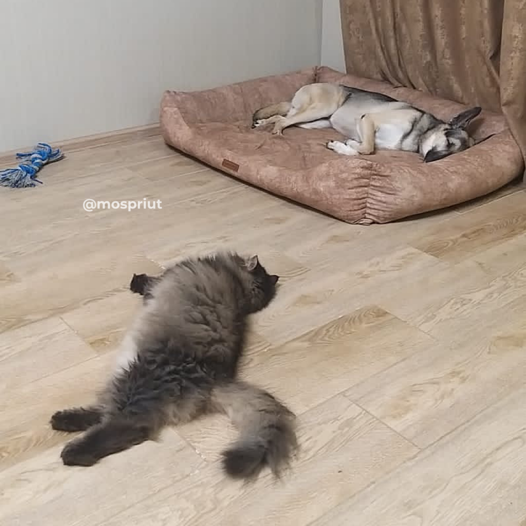 -2-3