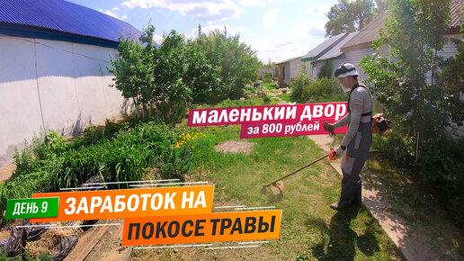 День 9 | Кошу маленький двор за 800 рублей. Заработок в деревне на покосе травы триммером.