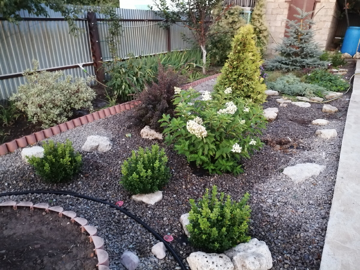 Личное фото автора