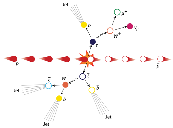 Пример случая возникновения и распада кварк-антикварковой пары t+t 