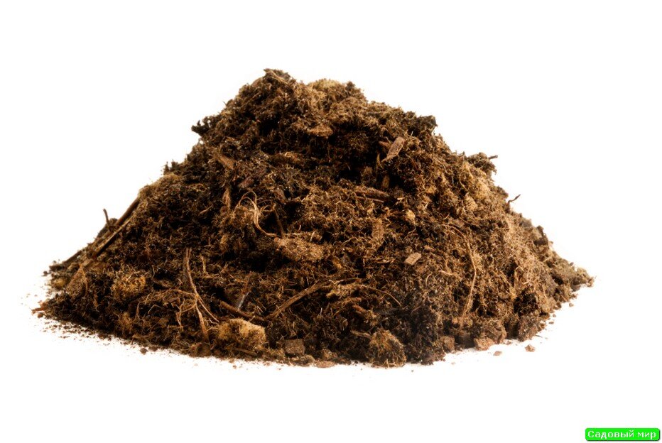 фото с сайта frukti-yagodi.ru