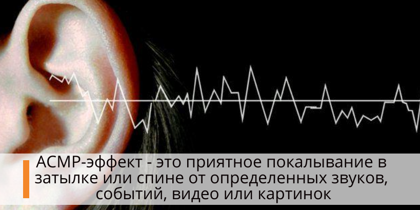 Автономная сенсорная меридиональная реакция. АСМР – автономная сенсорная меридиональная реакция. Феномен АСМР. ASMR расшифровка. Что такое асмр простыми словами