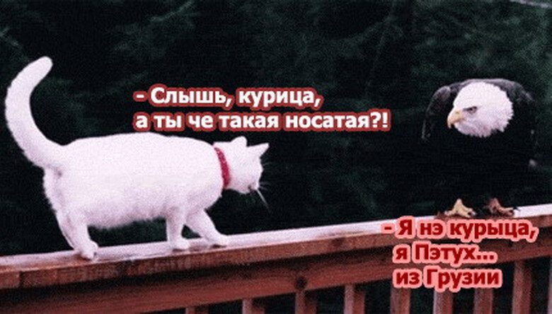 хорошие картинки