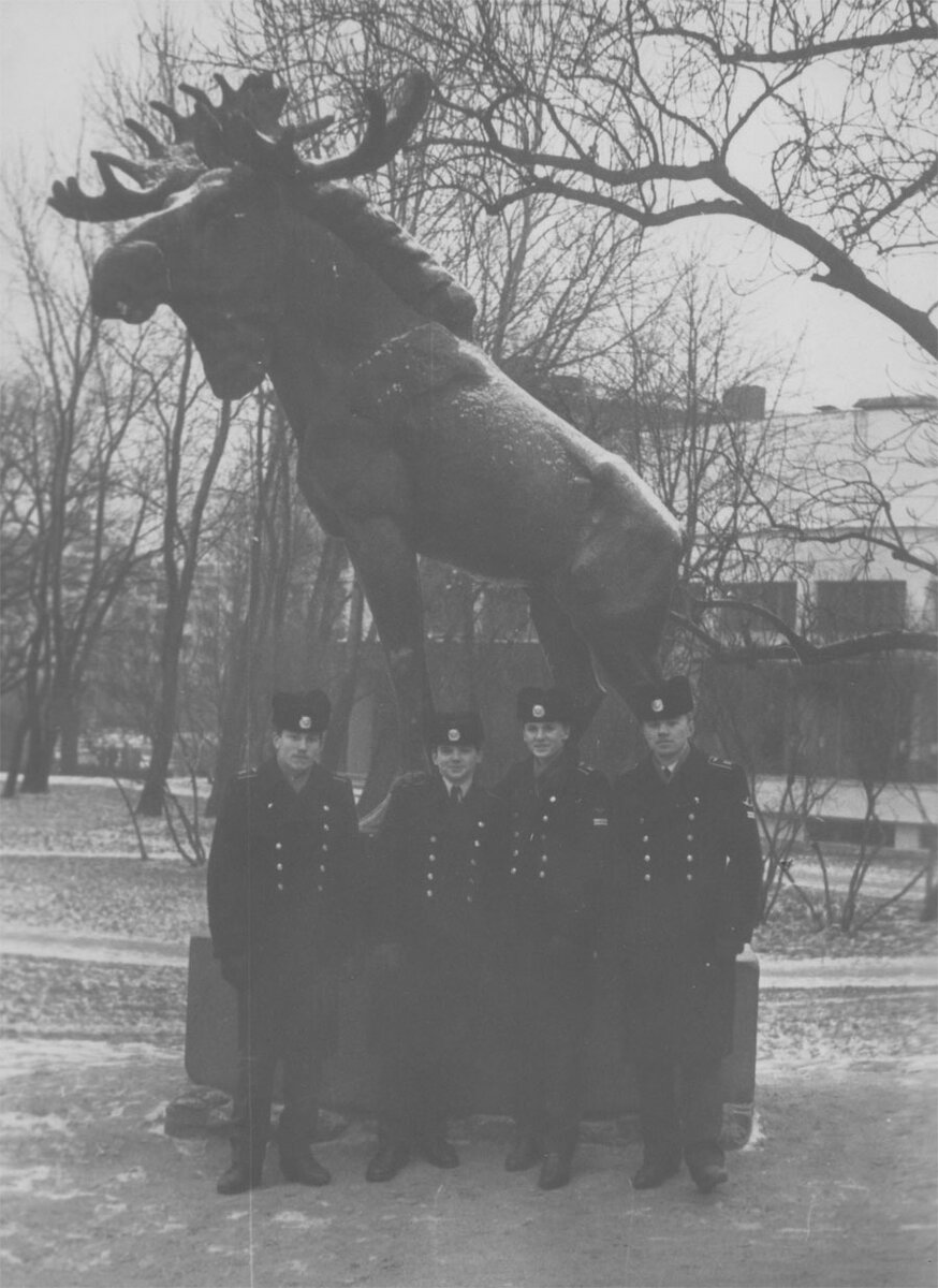 ватуга выборг