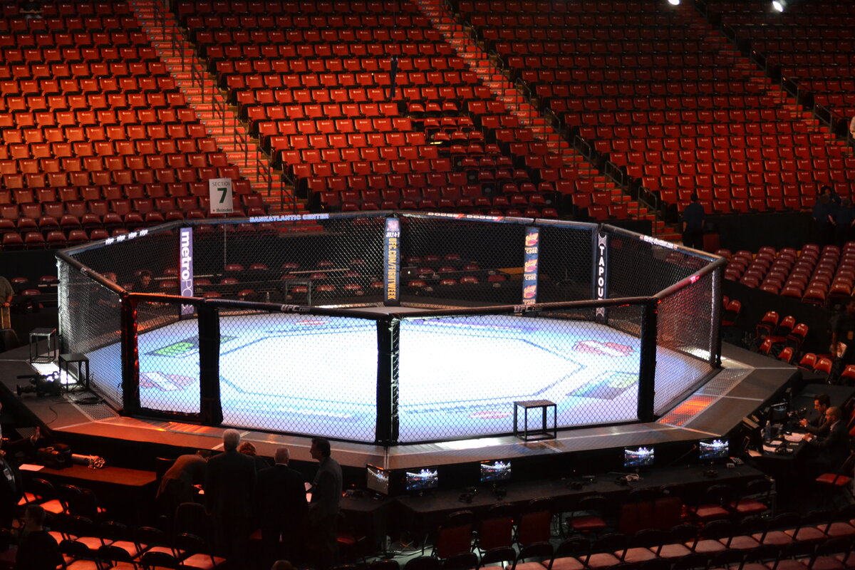 UFC закрывают наилегчайший дивизион