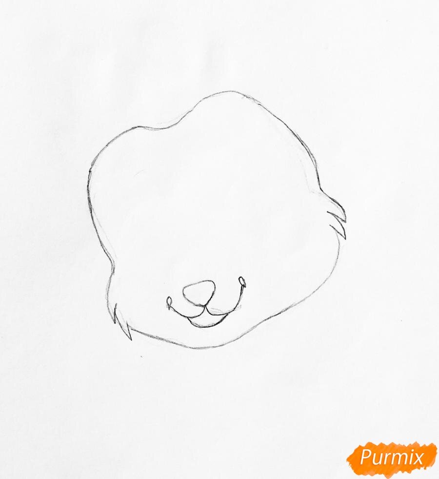 Шаг 2Вырисовываем щёчки и головку.
