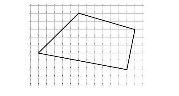 Прямоугольник на клетчатой бумаге. Многоугольник на клетчатой бумаге. Четырехугольник на клетчатой бумаге. Прямоугольник на клеточной бумаге.