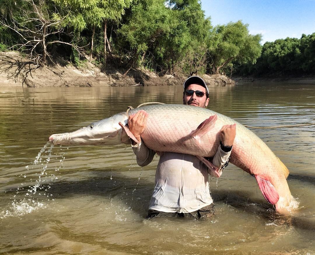 Когда пытаешься донести свою жену до кровати