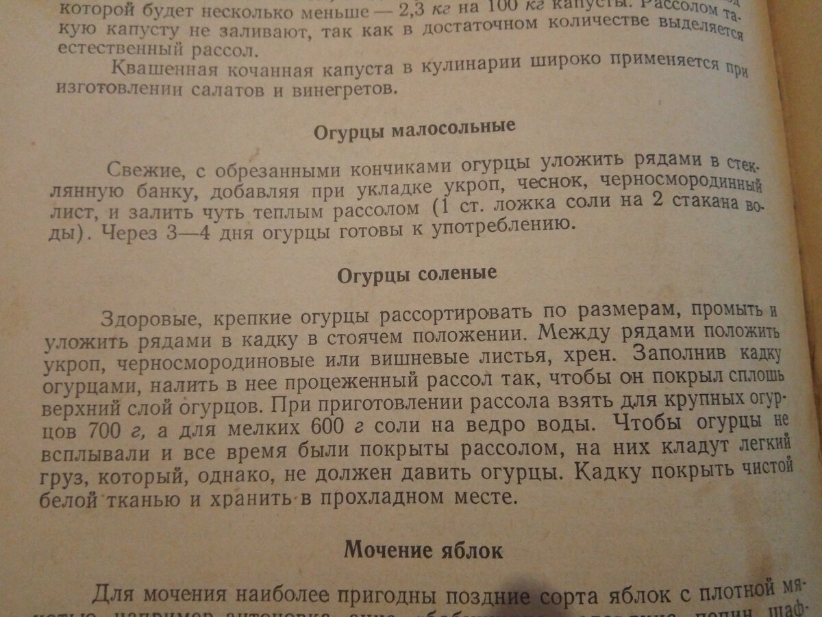 фанфик практические советы по домоводству для наемного убийцы фото 50