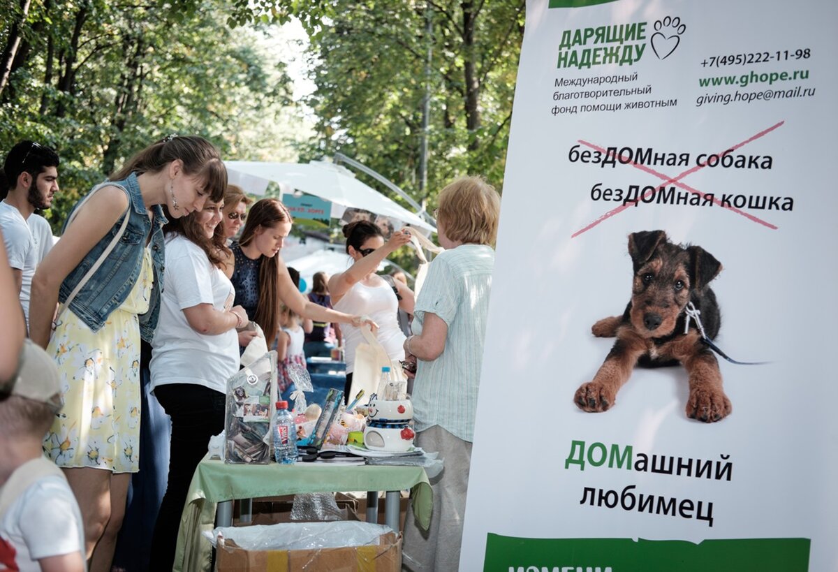 Фестиваль "Домой" на Красной Пресне