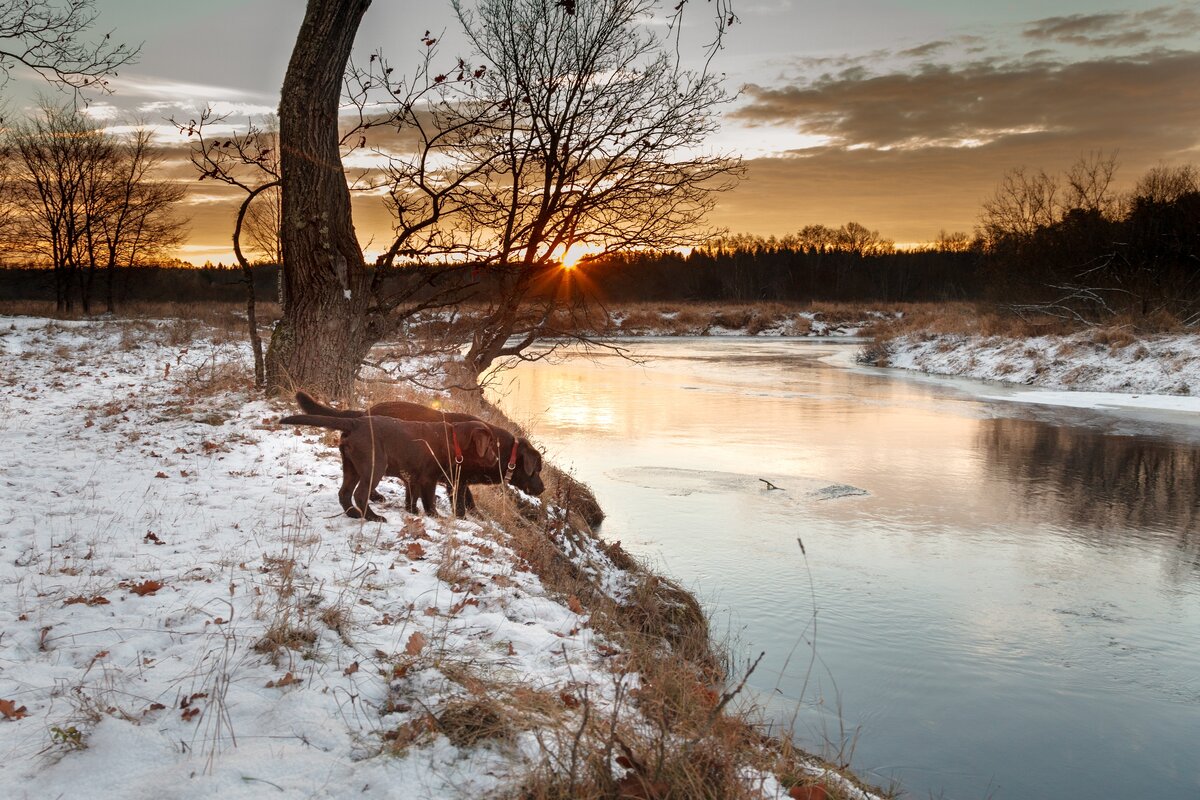 Фото Димы Виноградова https://vk.com/id4102473
