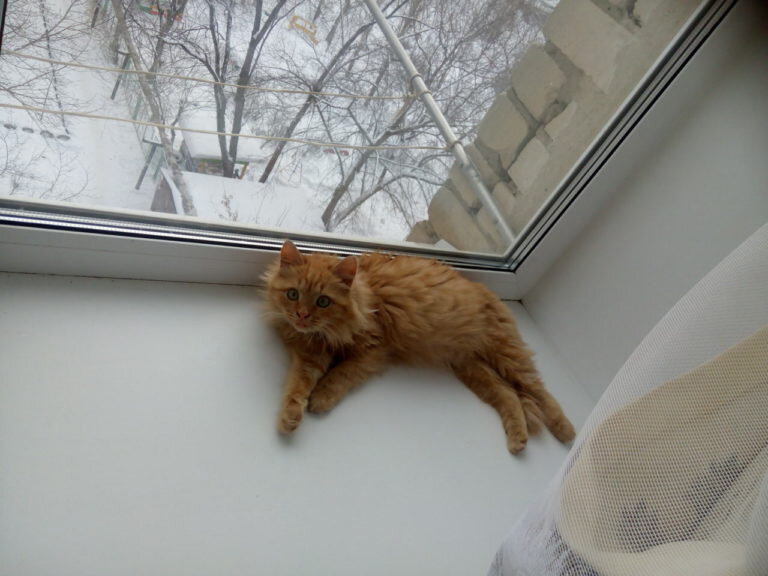 Такой был малютка