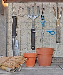 Будь  то цветы или овощи, ягодные кустарники или плодовые деревья, уход за  растениями помогает подросткам развивать в себе ответственность. Они  также получают приятное чувство выполненного долга и растят уверенность в  своих силах: когда появляются ростки, полностью твои, это потрясающее чувство.