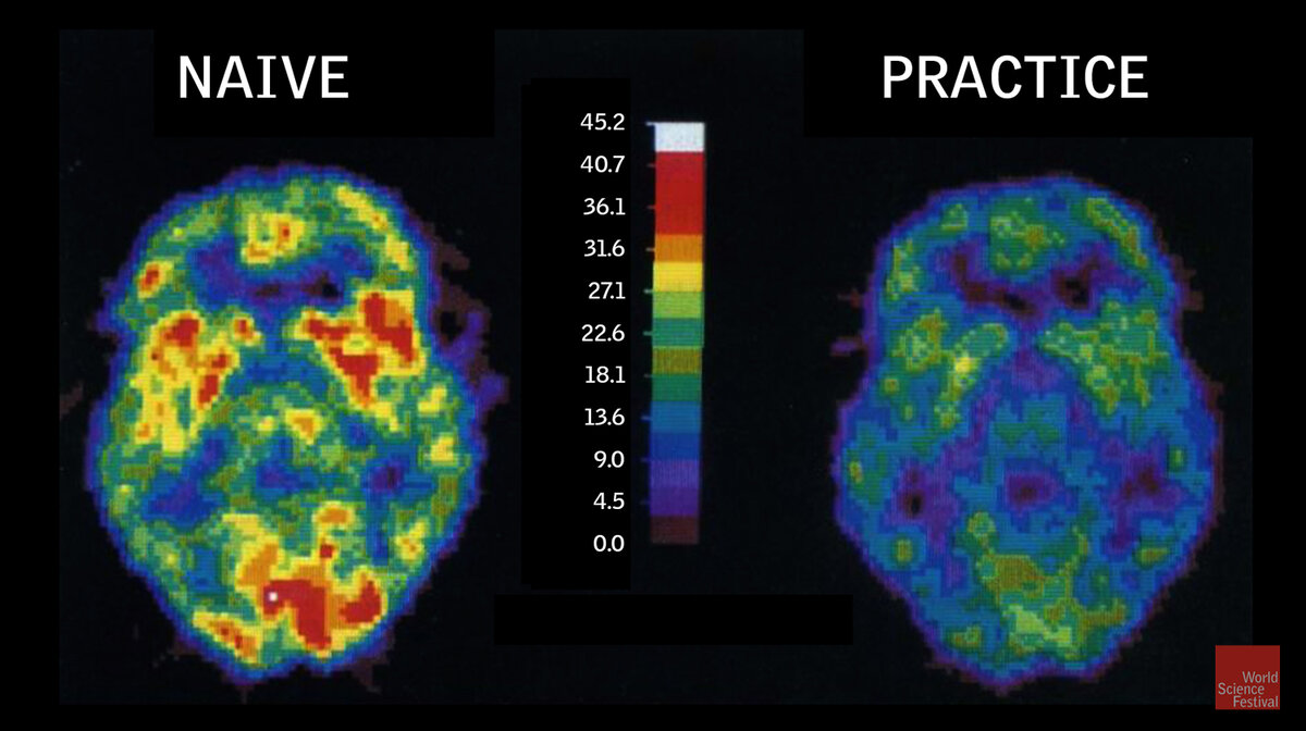 Источник изображения: topsimages.com 