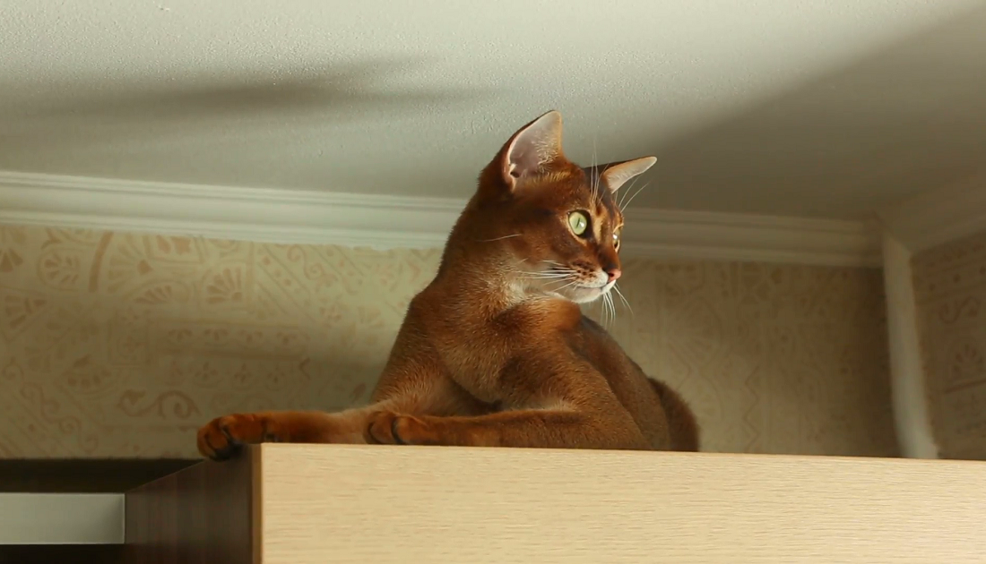 Сверху мне всё видно...