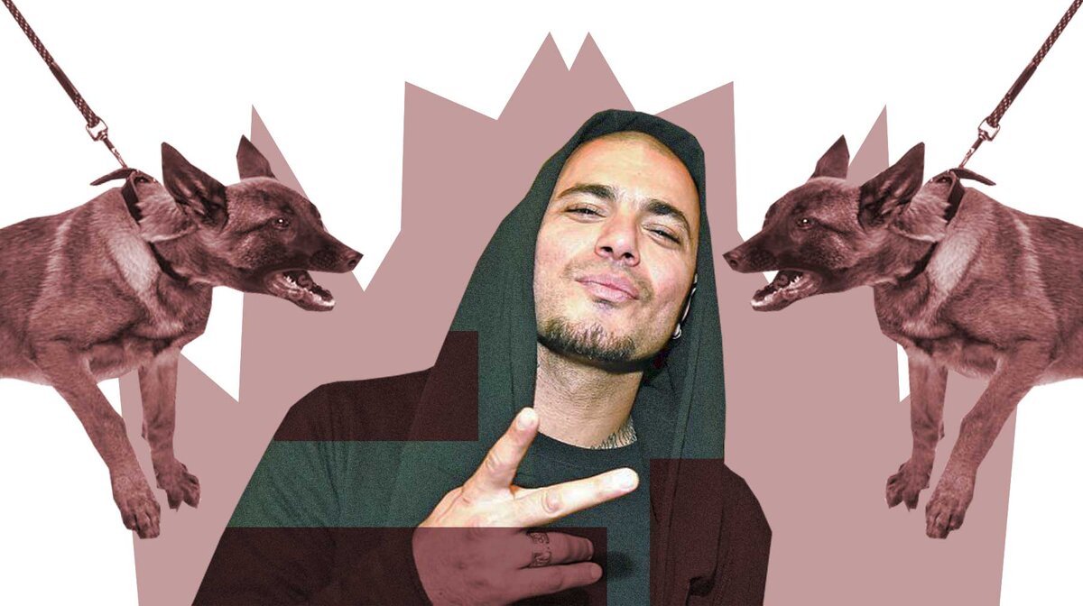 Коллаж: © Daily Storm