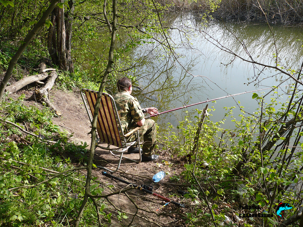 Рыба на доске. Жмыхоловка от рыбака дяди саши. Починки рыбалка. Починки рыбалка. Рыбы россии.