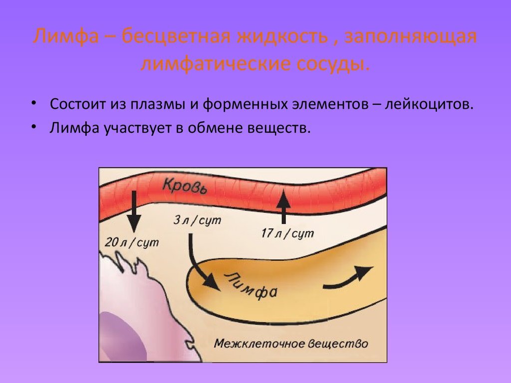 Образование жидкости. Лимфа жидкость. Лимфатическая жидкость как выглядит. Лимфа бесцветная жидкость. Лимфа как выглядит.